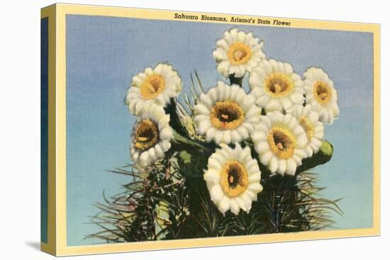 Saguaro Blossoms-null-Stretched Canvas