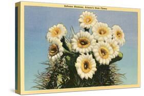 Saguaro Blossoms-null-Stretched Canvas