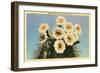 Saguaro Blossoms-null-Framed Art Print