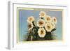 Saguaro Blossoms-null-Framed Art Print