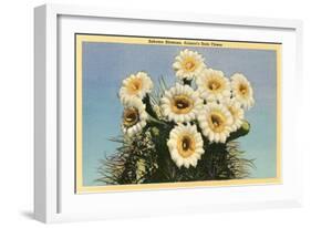 Saguaro Blossoms-null-Framed Art Print