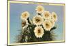 Saguaro Blossoms-null-Mounted Art Print