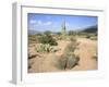 Saguaro Cacti and Barrel Cacti in Bloom, Saguaro National Park-Wendy Connett-Framed Photographic Print