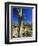 Saguaro Cacti, Arizona-Sonora Desert Museum, Tucson, Arizona, United States of America (U.S.A.)-Ruth Tomlinson-Framed Premium Photographic Print