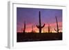 Saguaro Cacti at Sunset-null-Framed Photographic Print