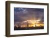 Saguaro cacti (Canegiea gigantea) in desert at sunset, Sonoran Desert, Arizona, USA-Panoramic Images-Framed Photographic Print