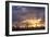 Saguaro cacti (Canegiea gigantea) in desert at sunset, Sonoran Desert, Arizona, USA-Panoramic Images-Framed Photographic Print