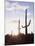 Saguaro Cacti, Carnegiea Gigantea, at Sunset in the Sonoran Desert-Christopher Talbot Frank-Mounted Premium Photographic Print