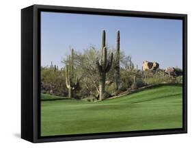 Saguaro Cacti in a Golf Course, Troon North Golf Club, Scottsdale, Maricopa County, Arizona, USA-null-Framed Stretched Canvas