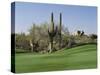 Saguaro Cacti in a Golf Course, Troon North Golf Club, Scottsdale, Maricopa County, Arizona, USA-null-Stretched Canvas