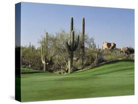 Saguaro Cacti in a Golf Course, Troon North Golf Club, Scottsdale, Maricopa County, Arizona, USA-null-Stretched Canvas