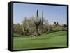 Saguaro Cacti in a Golf Course, Troon North Golf Club, Scottsdale, Maricopa County, Arizona, USA-null-Framed Stretched Canvas