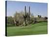 Saguaro Cacti in a Golf Course, Troon North Golf Club, Scottsdale, Maricopa County, Arizona, USA-null-Stretched Canvas