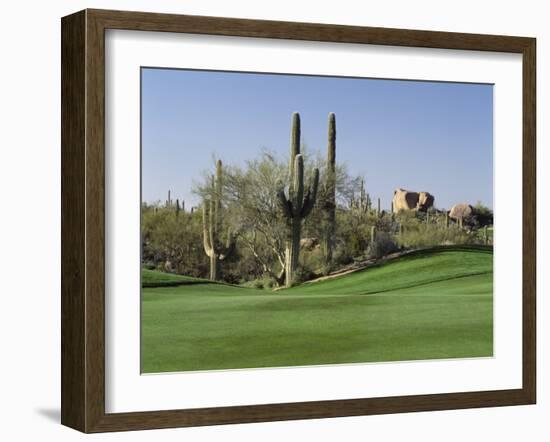 Saguaro Cacti in a Golf Course, Troon North Golf Club, Scottsdale, Maricopa County, Arizona, USA-null-Framed Photographic Print