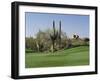 Saguaro Cacti in a Golf Course, Troon North Golf Club, Scottsdale, Maricopa County, Arizona, USA-null-Framed Photographic Print