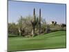 Saguaro Cacti in a Golf Course, Troon North Golf Club, Scottsdale, Maricopa County, Arizona, USA-null-Mounted Photographic Print