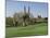 Saguaro Cacti in a Golf Course, Troon North Golf Club, Scottsdale, Maricopa County, Arizona, USA-null-Mounted Photographic Print