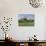 Saguaro Cacti in a Golf Course, Troon North Golf Club, Scottsdale, Maricopa County, Arizona, USA-null-Photographic Print displayed on a wall