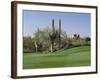 Saguaro Cacti in a Golf Course, Troon North Golf Club, Scottsdale, Maricopa County, Arizona, USA-null-Framed Photographic Print
