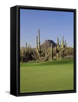 Saguaro Cacti in a Golf Course, Troon North Golf Club, Scottsdale, Maricopa County, Arizona, USA-null-Framed Stretched Canvas