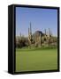 Saguaro Cacti in a Golf Course, Troon North Golf Club, Scottsdale, Maricopa County, Arizona, USA-null-Framed Stretched Canvas