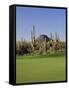 Saguaro Cacti in a Golf Course, Troon North Golf Club, Scottsdale, Maricopa County, Arizona, USA-null-Framed Stretched Canvas