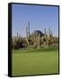 Saguaro Cacti in a Golf Course, Troon North Golf Club, Scottsdale, Maricopa County, Arizona, USA-null-Framed Stretched Canvas