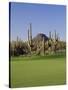 Saguaro Cacti in a Golf Course, Troon North Golf Club, Scottsdale, Maricopa County, Arizona, USA-null-Stretched Canvas