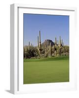 Saguaro Cacti in a Golf Course, Troon North Golf Club, Scottsdale, Maricopa County, Arizona, USA-null-Framed Photographic Print