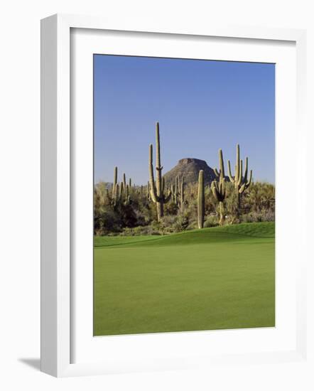 Saguaro Cacti in a Golf Course, Troon North Golf Club, Scottsdale, Maricopa County, Arizona, USA-null-Framed Photographic Print