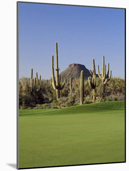 Saguaro Cacti in a Golf Course, Troon North Golf Club, Scottsdale, Maricopa County, Arizona, USA-null-Mounted Photographic Print