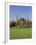 Saguaro Cacti in a Golf Course, Troon North Golf Club, Scottsdale, Maricopa County, Arizona, USA-null-Framed Photographic Print