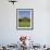 Saguaro Cacti in a Golf Course, Troon North Golf Club, Scottsdale, Maricopa County, Arizona, USA-null-Framed Photographic Print displayed on a wall