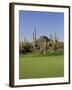 Saguaro Cacti in a Golf Course, Troon North Golf Club, Scottsdale, Maricopa County, Arizona, USA-null-Framed Photographic Print