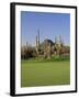 Saguaro Cacti in a Golf Course, Troon North Golf Club, Scottsdale, Maricopa County, Arizona, USA-null-Framed Photographic Print