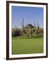 Saguaro Cacti in a Golf Course, Troon North Golf Club, Scottsdale, Maricopa County, Arizona, USA-null-Framed Photographic Print