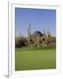 Saguaro Cacti in a Golf Course, Troon North Golf Club, Scottsdale, Maricopa County, Arizona, USA-null-Framed Photographic Print