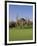 Saguaro Cacti in a Golf Course, Troon North Golf Club, Scottsdale, Maricopa County, Arizona, USA-null-Framed Photographic Print