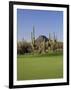 Saguaro Cacti in a Golf Course, Troon North Golf Club, Scottsdale, Maricopa County, Arizona, USA-null-Framed Photographic Print