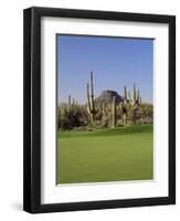 Saguaro Cacti in a Golf Course, Troon North Golf Club, Scottsdale, Maricopa County, Arizona, USA-null-Framed Premium Photographic Print