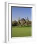 Saguaro Cacti in a Golf Course, Troon North Golf Club, Scottsdale, Maricopa County, Arizona, USA-null-Framed Premium Photographic Print