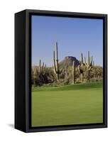 Saguaro Cacti in a Golf Course, Troon North Golf Club, Scottsdale, Maricopa County, Arizona, USA-null-Framed Stretched Canvas