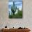 Saguaro cacti, Saguaro National Park, Arizona, USA-Charles Gurche-Photographic Print displayed on a wall