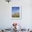 Saguaro Cacti, Saguaro National Park, Rincon Mountain District, Tucson, Arizona-Wendy Connett-Framed Photographic Print displayed on a wall