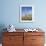 Saguaro Cacti, Saguaro National Park, Rincon Mountain District, Tucson, Arizona-Wendy Connett-Framed Photographic Print displayed on a wall