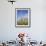 Saguaro Cacti, Saguaro National Park, Rincon Mountain District, Tucson, Arizona-Wendy Connett-Framed Photographic Print displayed on a wall