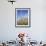 Saguaro Cacti, Saguaro National Park, Rincon Mountain District, Tucson, Arizona-Wendy Connett-Framed Photographic Print displayed on a wall