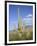 Saguaro Cacti, Saguaro National Park, Rincon Mountain District, Tucson, Arizona-Wendy Connett-Framed Photographic Print