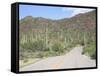 Saguaro Cacti, Saguaro National Park, Tuscon Mountain District West Unit, Tucson, Arizona-Wendy Connett-Framed Stretched Canvas