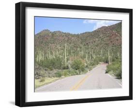 Saguaro Cacti, Saguaro National Park, Tuscon Mountain District West Unit, Tucson, Arizona-Wendy Connett-Framed Photographic Print
